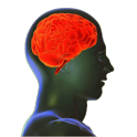 Current Affairs 2013 icon
