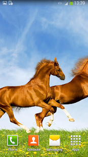 Horses Live Wallpaper Screenshots 5