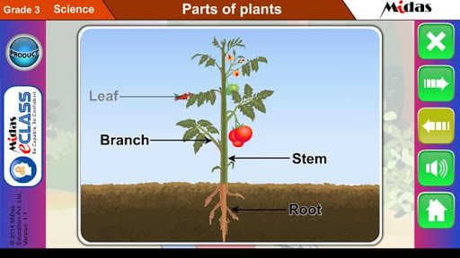 免費下載教育APP|MiDas eCLASS Science 3 app開箱文|APP開箱王