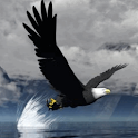 Eagle Reflected in Water Live logo