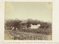 Woning met daarvoor poserend personeel en opzichter tussen de tabaksvelden van tabaksplantage Medan Estate