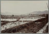 Rijstvelden bij Takinguen