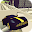 Car Simulator 3D by Studio Billion Download on Windows