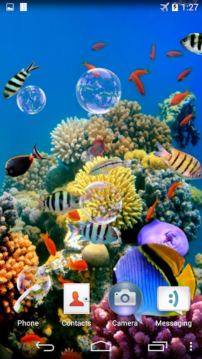 Colorful Tropical Fishes