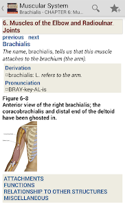 How to mod Muscular System Manual patch 4.3.104 apk for pc