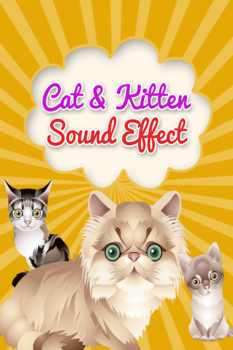 Cat and Kitten Sound Effects