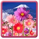 Flowers HD ScreenSaver