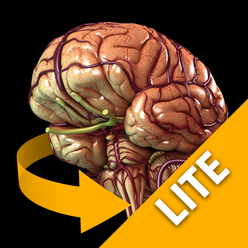 Brain 3D Anatomy Lite LOGO-APP點子