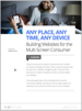 Building Websites for the Multi-Screen Consumer white paper