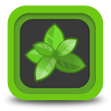 Spearmint Web Browser logo