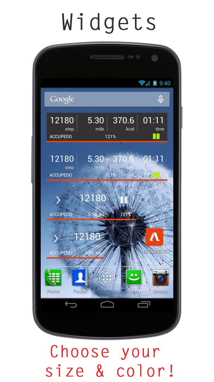 Accupedo-Pro Pedometer Screen 2