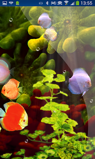 Download Coral Reef Aquarium HD LWP APK for Android