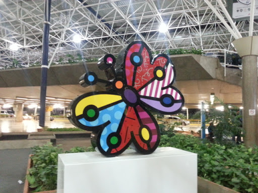 Borboleta Do Aeroporto Internacional De Brasília