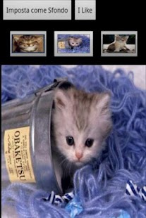 Meow Cats Free Screenshots 1