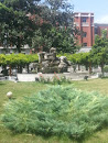 DRC Park Fountain