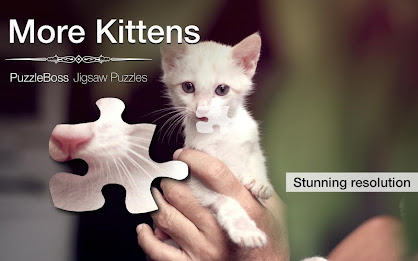 Jigsaw Puzzles: More Kittens poster 1