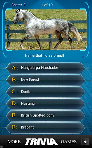 【免費益智App】Name that Horse Breed Trivia-APP點子