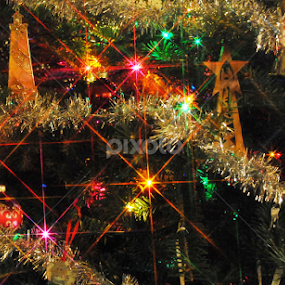 The Stars are brightly shining! by Ken Orr - Public Holidays Christmas