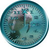 Manatee 4 Analog Clock