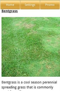 Lawn Care Screenshots 2