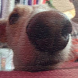 Puzzle your photo.apk 1.0