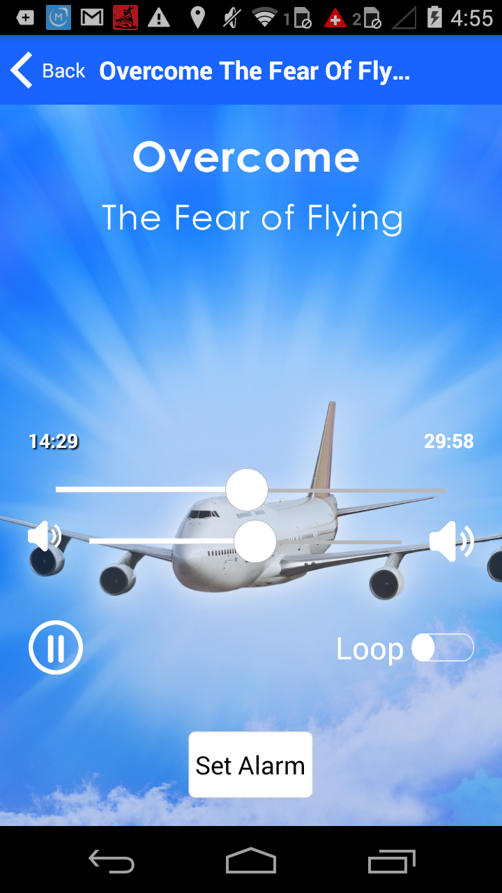 Fear of Flying Hypnotherapy Screen 3