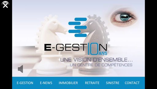 E-GESTION