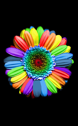 【免費個人化App】Flowers Plants Live Wallpaper-APP點子