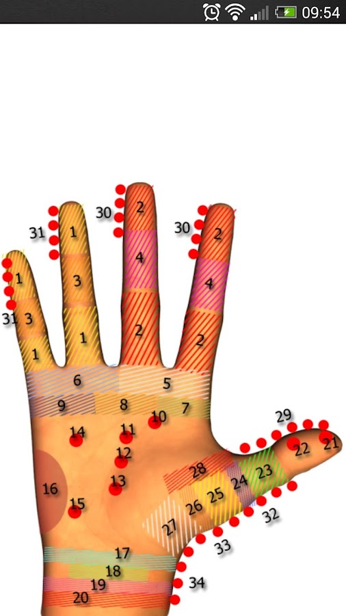 Massage Body Spots Android Apps on Google Play