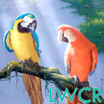 live parrot wallpaper Apk