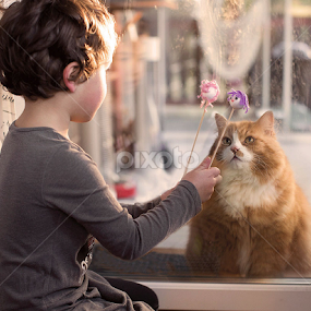 Play time by Sara Skog - Babies & Children Child Portraits