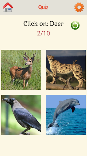 【免費教育App】Kids Quiz - Animals-APP點子