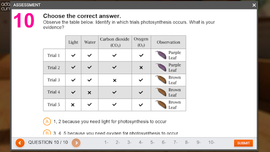 Plants & Photosynthesis Screenshots 4