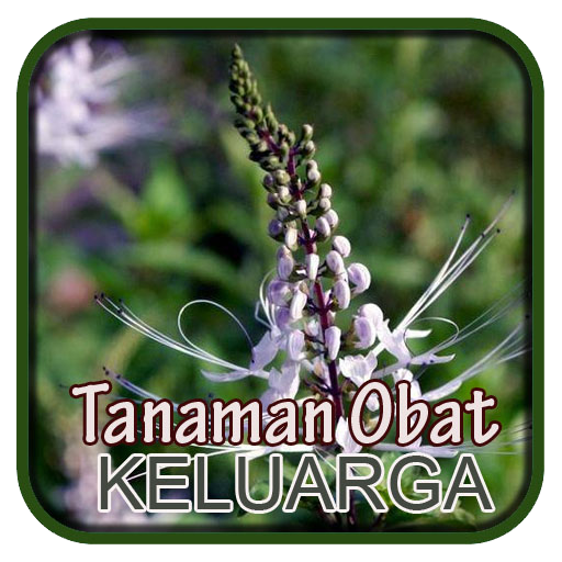 Kumpulan Tanaman Obat Keluarga