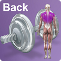 Daily Back Video Workouts icon