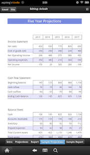 5 year Cash Flow Projection Screenshots 2