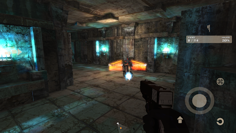 Dungeon Shooter (FPS) poster 5