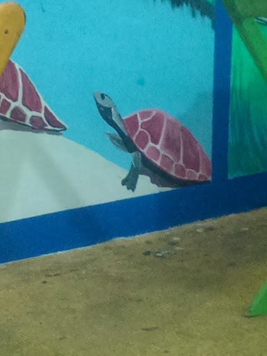 Turtles In Capuru