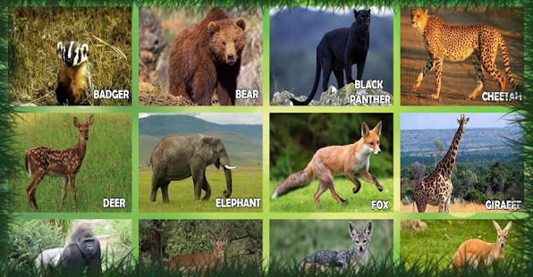 How to install Animal Sound For Kids lastet apk for bluestacks