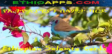Ethiopian Selamta Cards APK