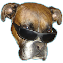 Dog vision logo