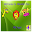 Animal Sounds in Wonder Zoo Download on Windows
