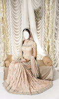 Indian Wedding Dresses APK تصویر نماگرفت #5