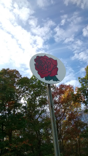 Rose of Hope