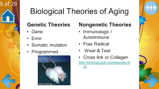 Theories of Aging - náhled