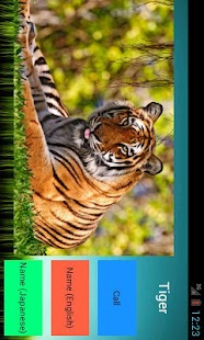 Download Animal Picture Book Free APK