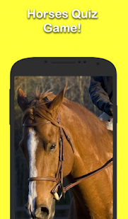 How to install Horse Trivia 1.5673 unlimited apk for laptop