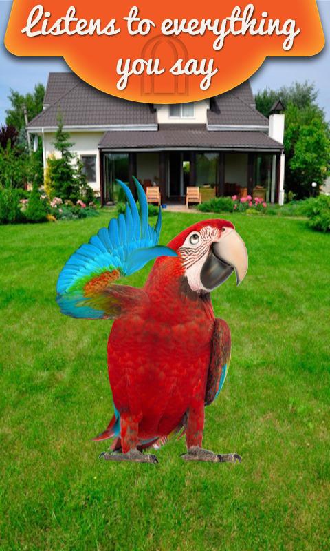 Real Talking Parrot Screen 1