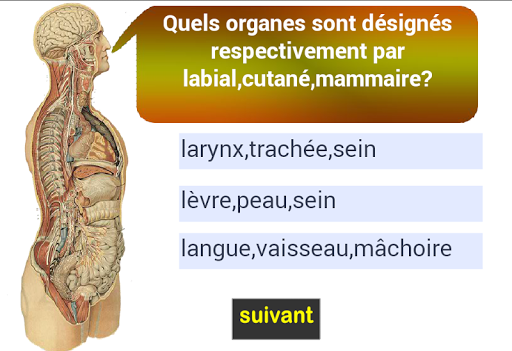 adjectifs d'anatomie