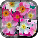 Flowers Puzzle Game Apk